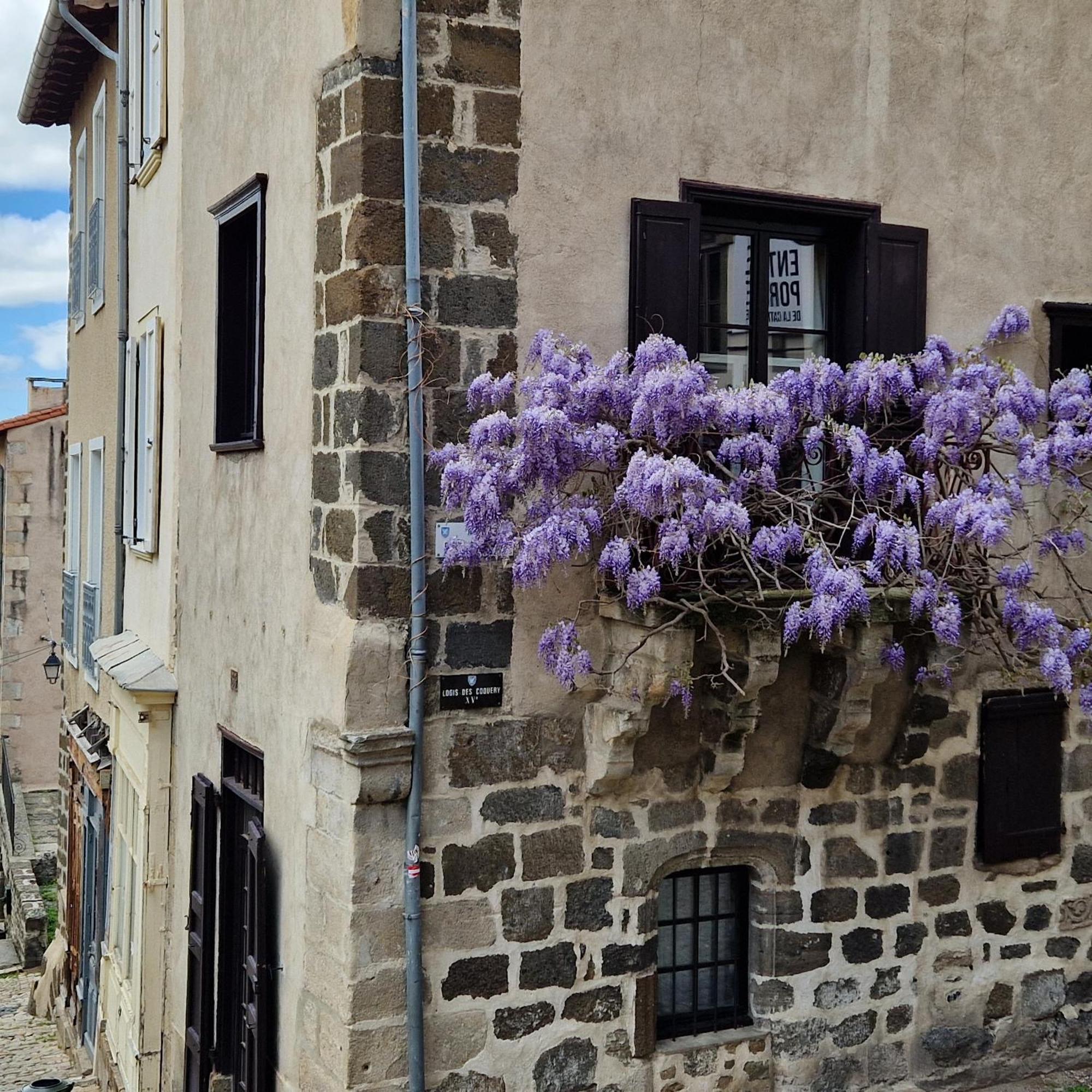Gite Des Tables - Cathedrale, Coeur Historique, Vue Le Puy-en-Velay Экстерьер фото